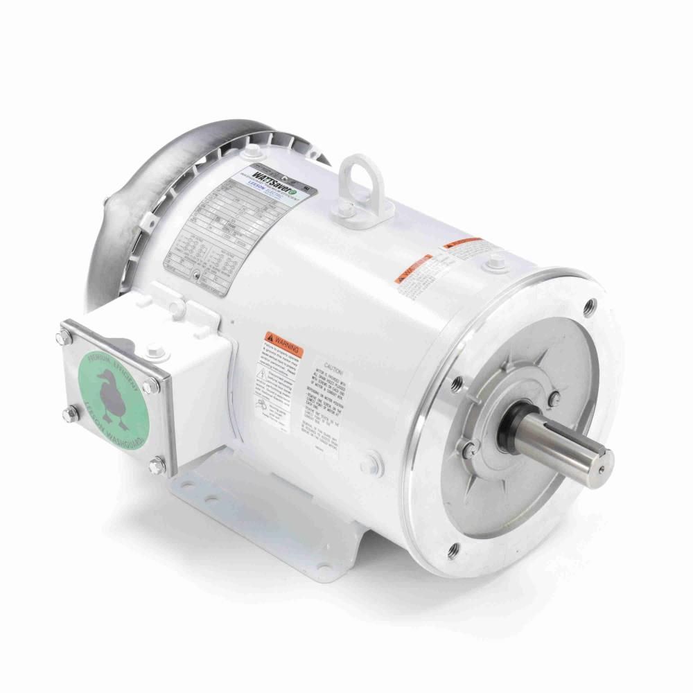 132201.00, Leeson, 5HP, 230/460 V, White Epoxy Washdown Motor