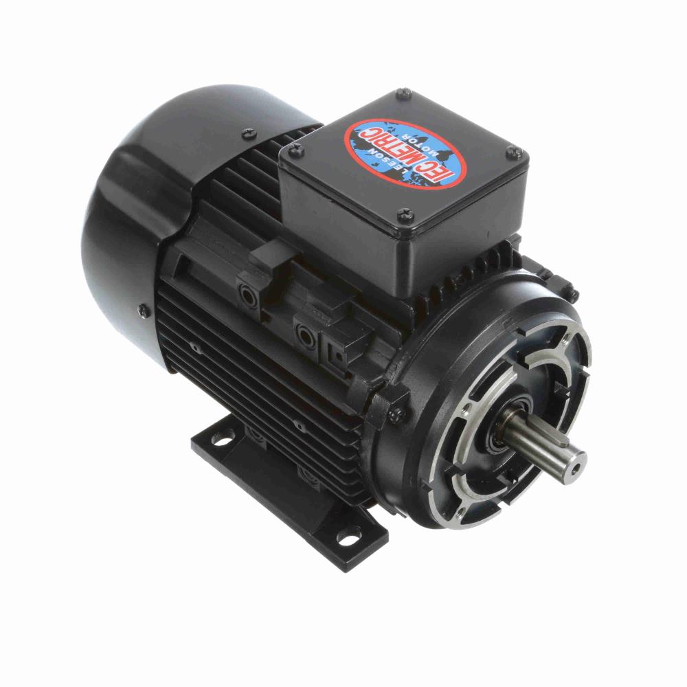 Leeson, 192247.00, 1 HP, 1740 RPM, 230/460V, Reversible, Electric Motor