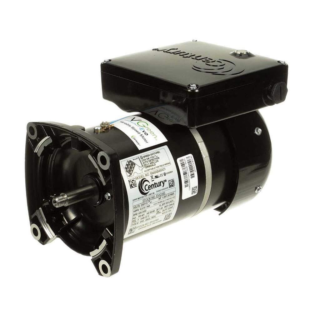 EVQ165, 1HP, 230/115V, Pool Pump Motor