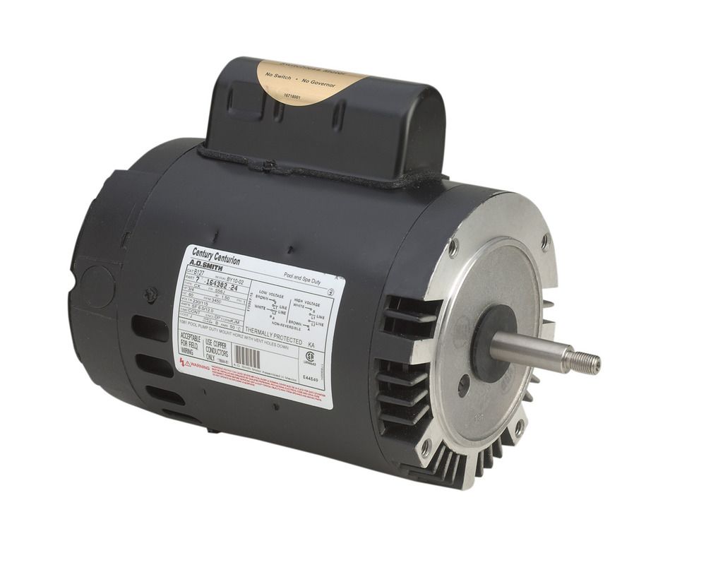 184948, Century, 1HP, 115/230V, Pool and Spa Motor