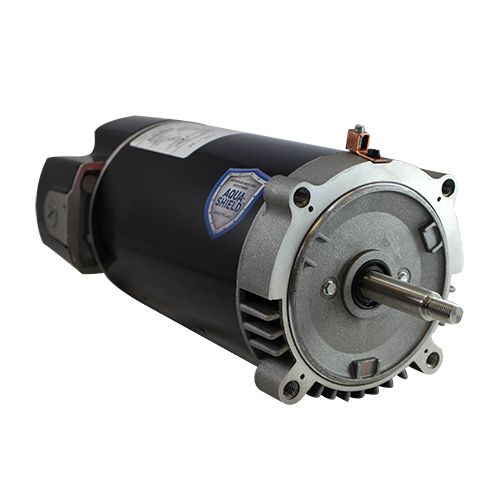 110283, Leeson, Replacement Pool and Spa Motor